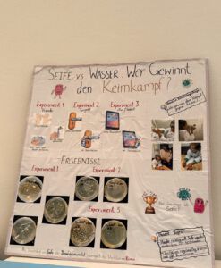 Seife vs. Wasser: Wer gewinnt den Keimkampf?