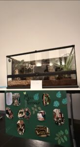 Terrarium